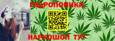 мяу мяу мука Ликино-Дулёво