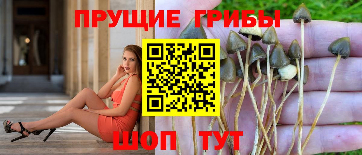 Псилоцибиновые грибы Magic Shrooms  Вход с VPN  Геленджик 
