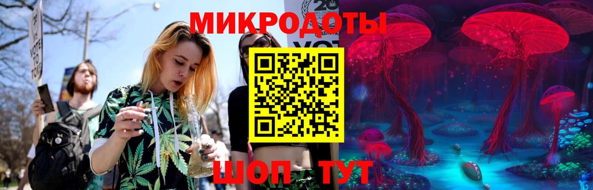 Псилоцибиновые грибы Magic Shrooms Геленджик